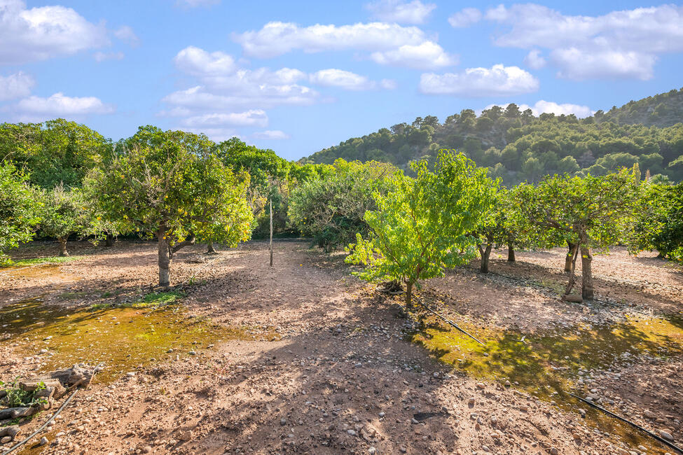 Reizvolle Finca in Sóller