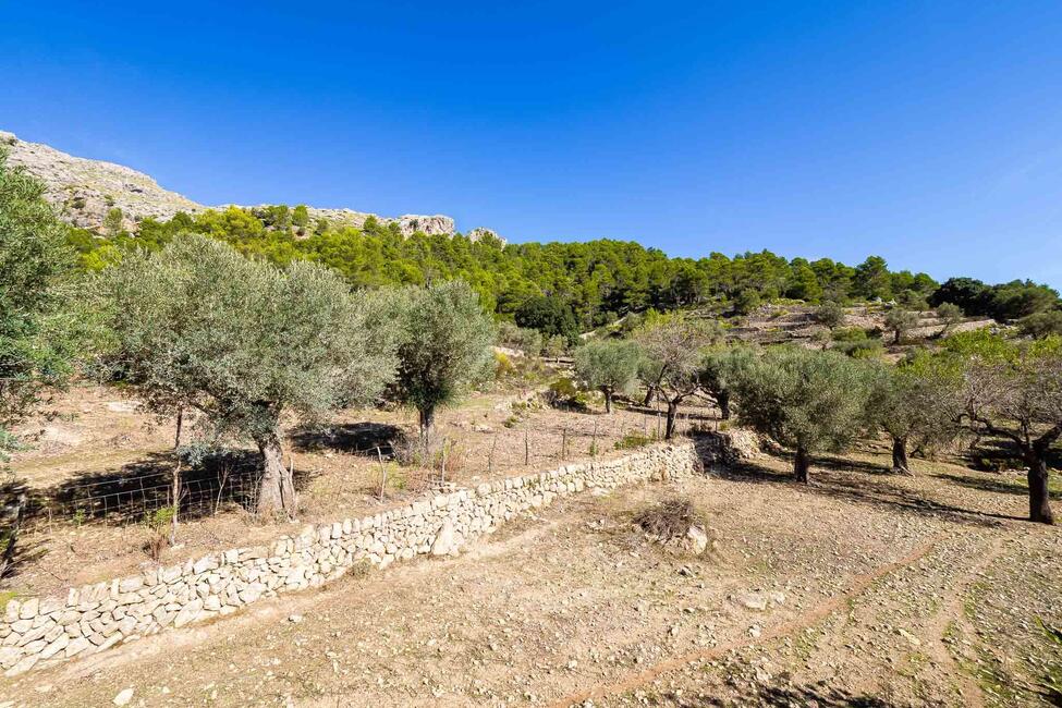 Renovierungsbedürftige Finca mit 710.000 m2 Grundstück in Escorca