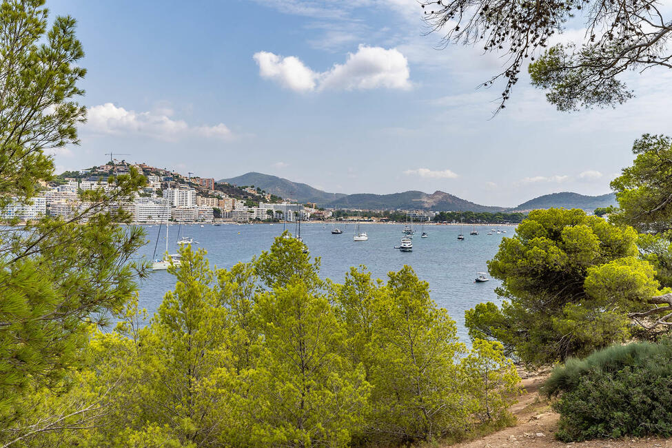 Attraktives Reiheneckhaus mit Gemeinschaftspool in Hafennähe in Santa Ponsa