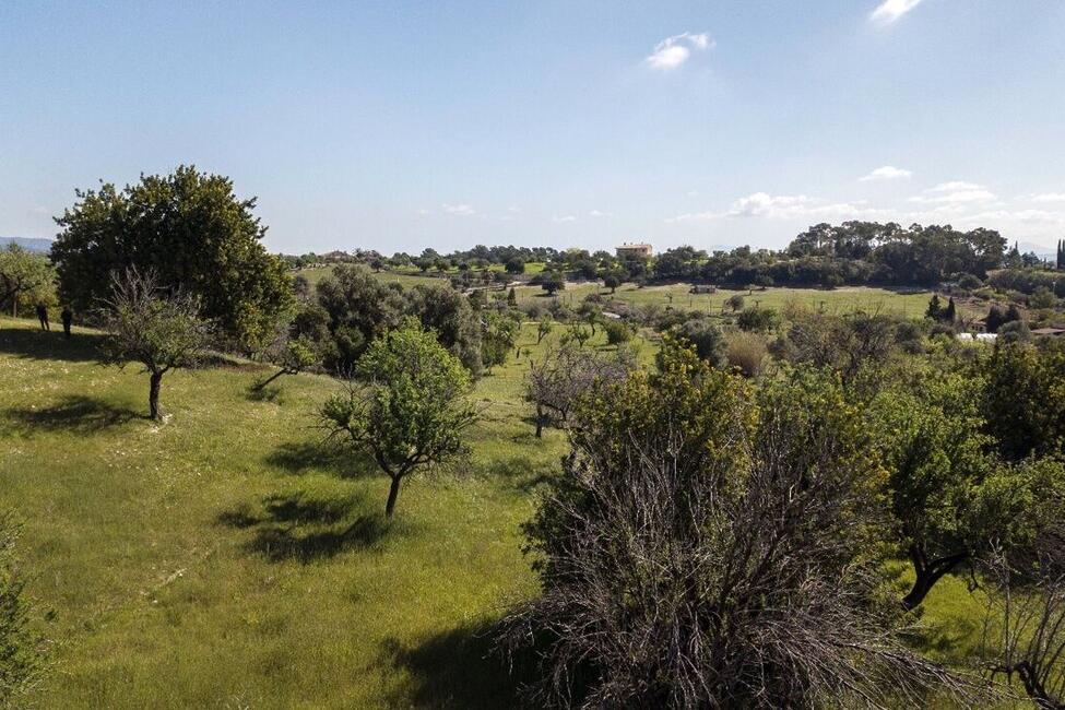 Grossartiges Grundstück mit Lizenz und Projekt zum Bau einer modernen Finca mit Pool in Selva