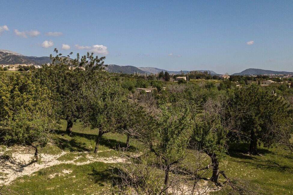 Grossartiges Grundstück mit Lizenz und Projekt zum Bau einer modernen Finca mit Pool in Selva