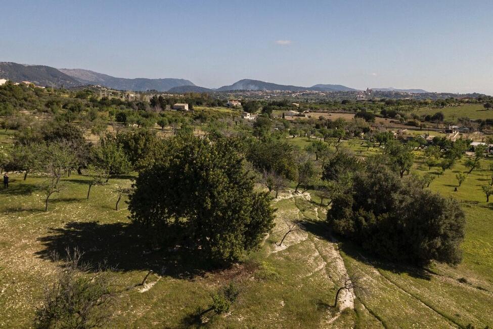 Grossartiges Grundstück mit Lizenz und Projekt zum Bau einer modernen Finca mit Pool in Selva