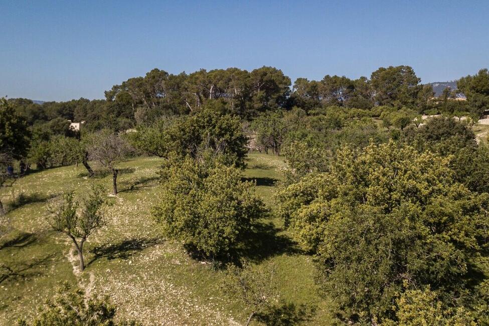 Grossartiges Grundstück mit Lizenz und Projekt zum Bau einer modernen Finca mit Pool in Selva