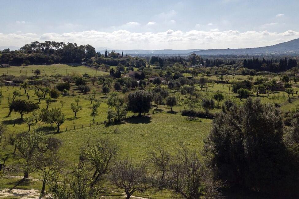 Grossartiges Grundstück mit Lizenz und Projekt zum Bau einer modernen Finca mit Pool in Selva