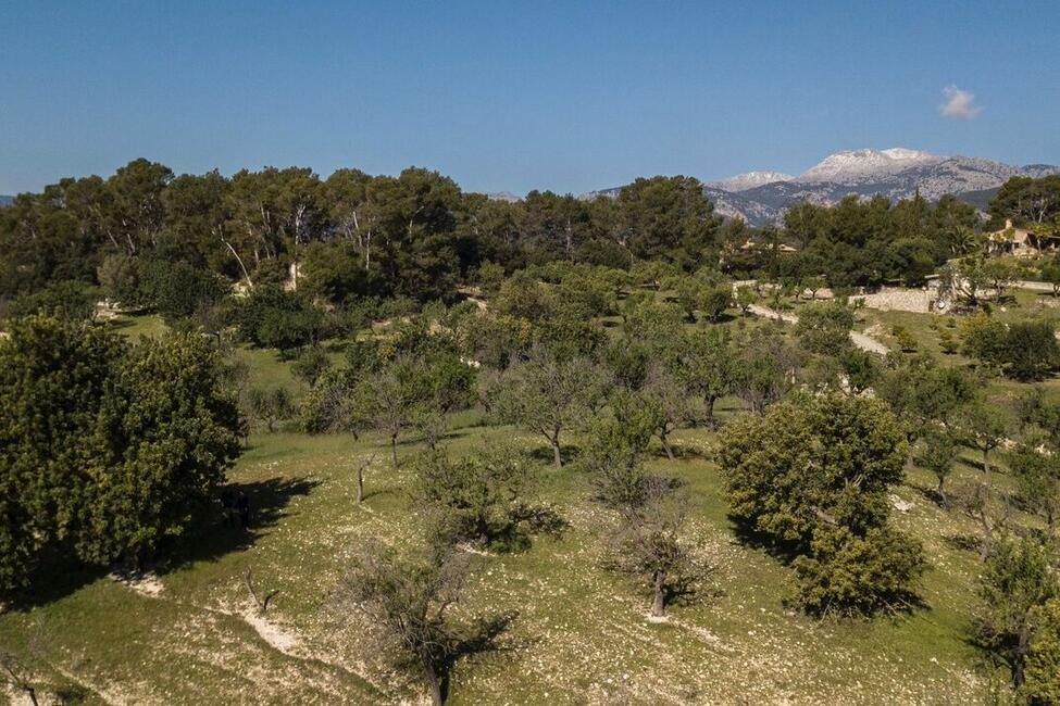 Grossartiges Grundstück mit Lizenz und Projekt zum Bau einer modernen Finca mit Pool in Selva