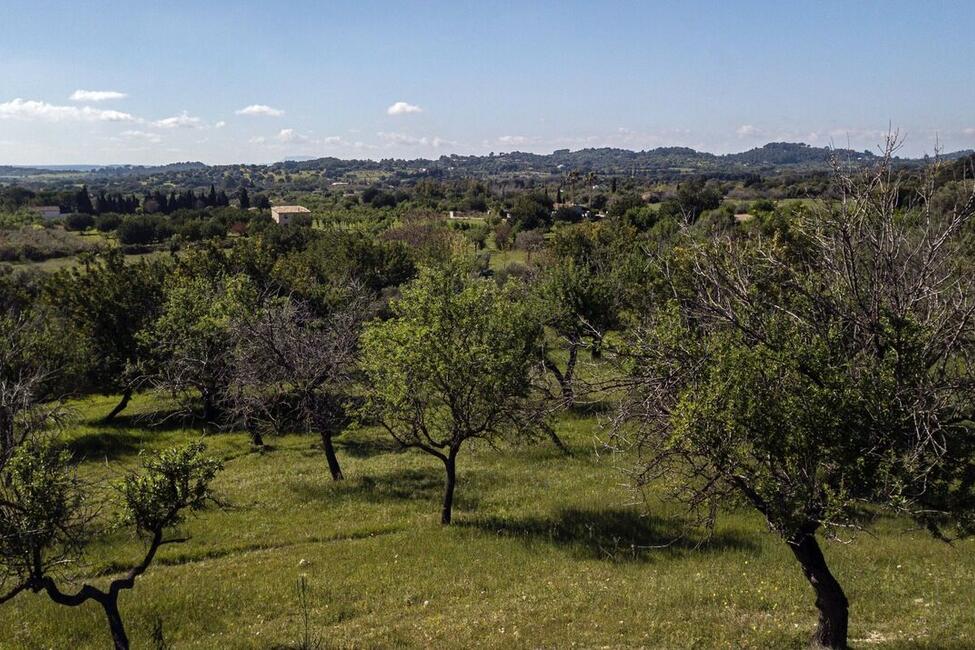 Grossartiges Grundstück mit Lizenz und Projekt zum Bau einer modernen Finca mit Pool in Selva