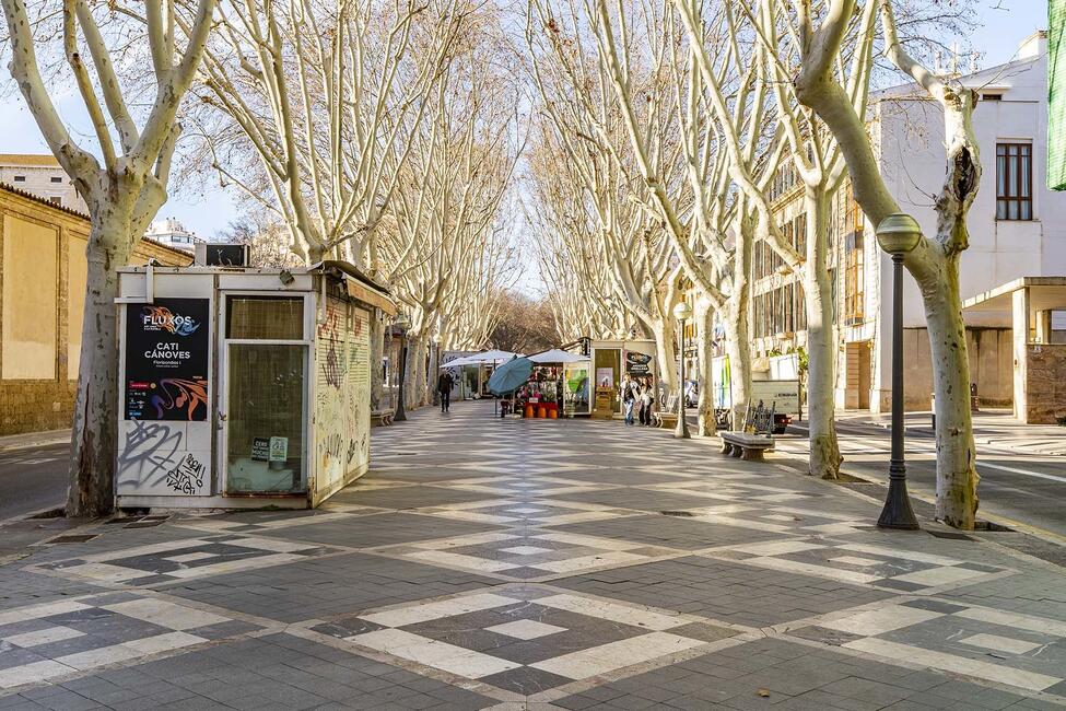 Modernes und komplett möbliertes Apartment an der La Rambla in Palma