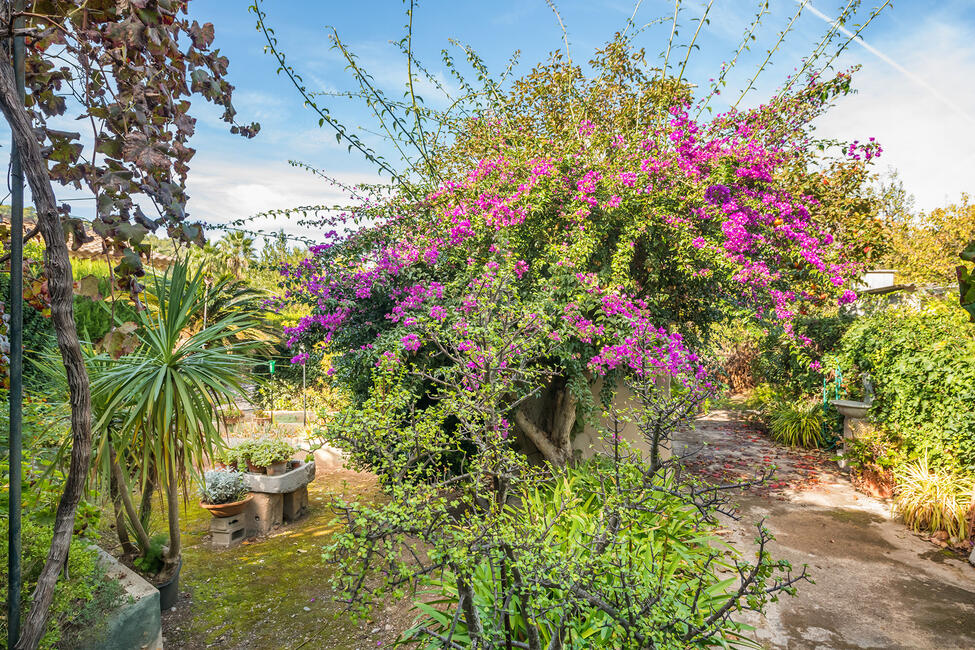 Reizvolle Finca in Sóller