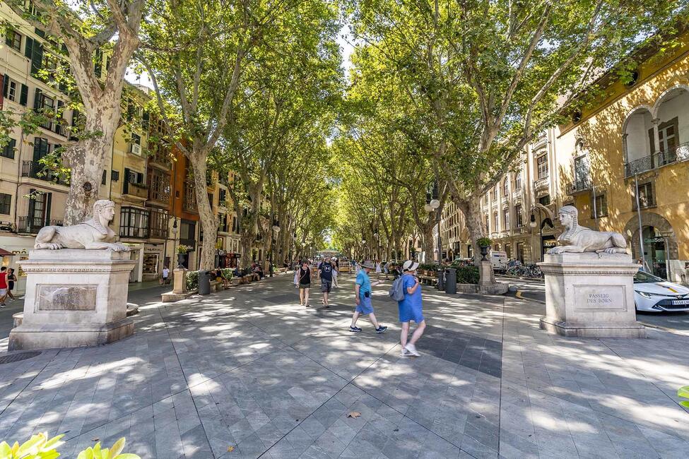 Modern renoviertes Apartment mit Meerblick im Herzen von Palma